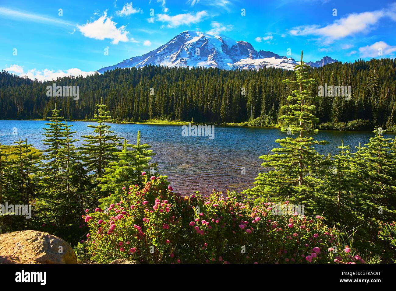 Reflectionssee Wildblumen und immergrüne Wald mit Mount Rainier im Sommer Stockfoto