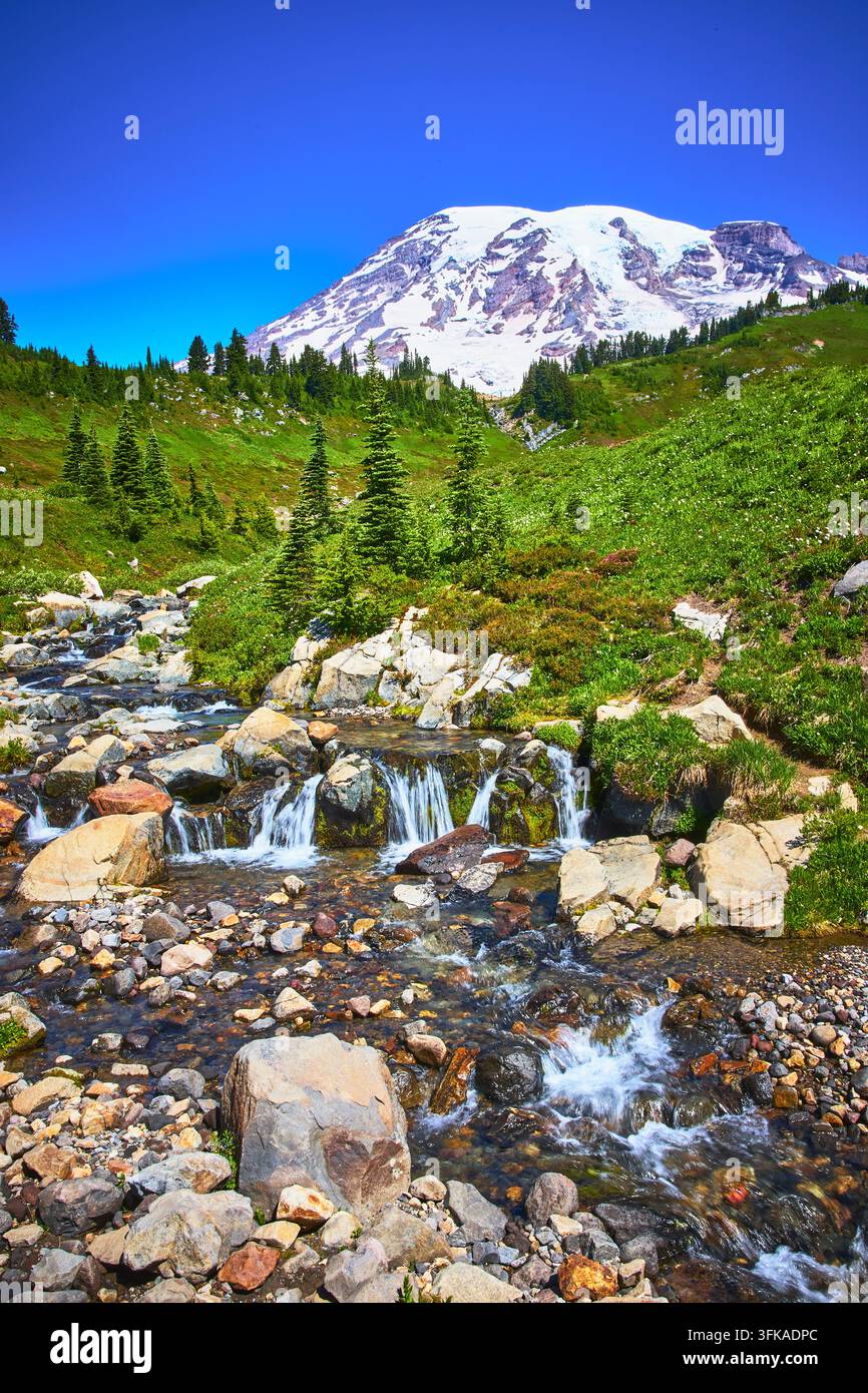 Mount Rainier Myrtle Falls Klarer Wasserfall und grüne alpine Wiese im Sommer Stockfoto