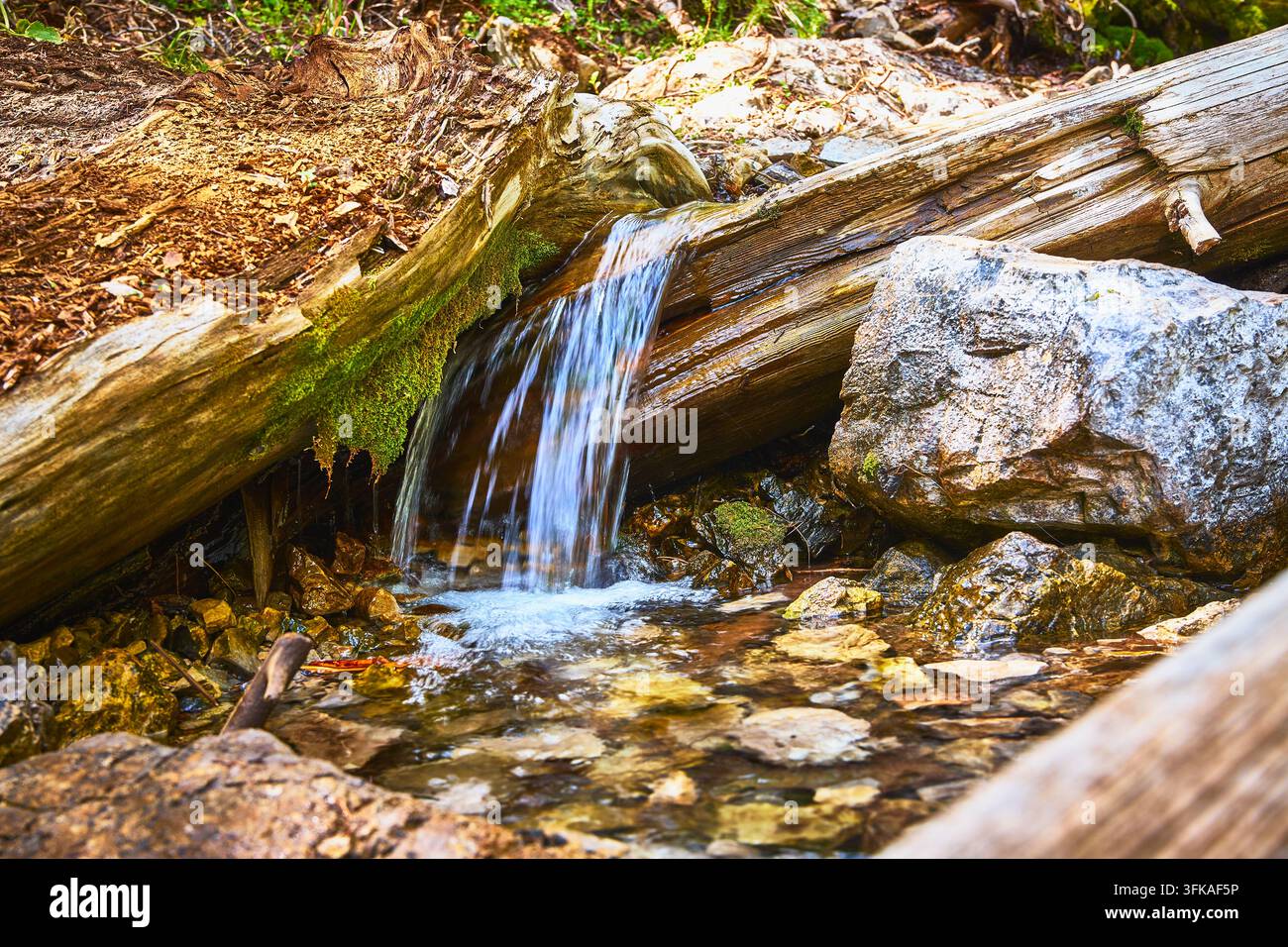 Wasserfall, der über moosigen Baumstamm und Steine im Waldbach fließt Stockfoto