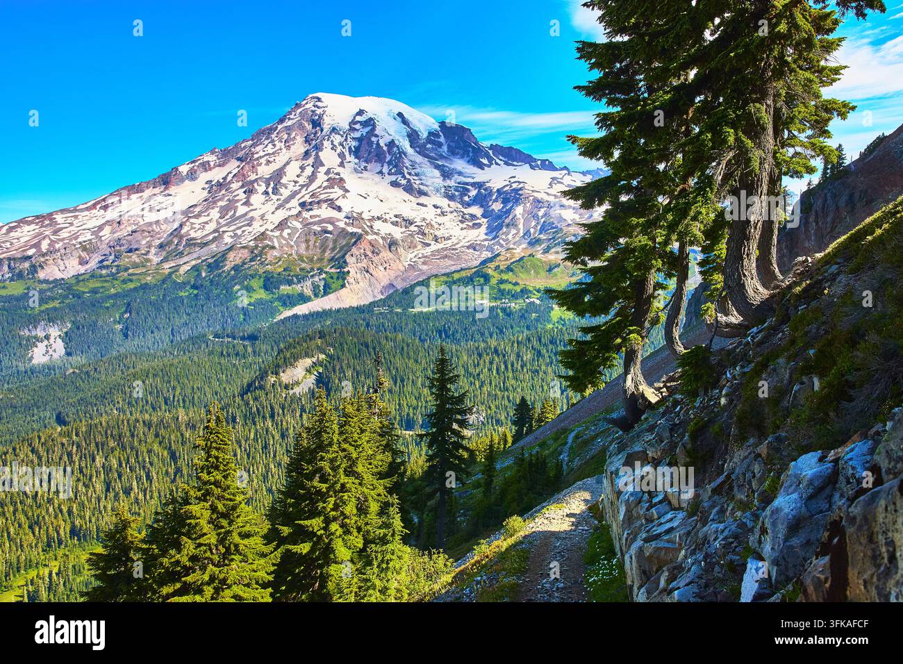 Mount Rainier schneebedeckter Berg mit immergrünem Wald und Wanderweg im Sommer Stockfoto