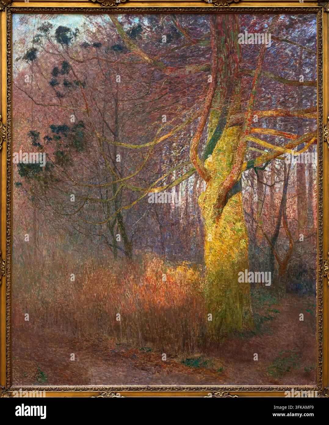 Baum in der Sonne, 1900, Emile Claus (Sint-Eloois-Vijve (Waregem) 1849 – Astene (Deinze) 1924), MSK, Museum für Schöne Künste, Museum of Fine Arts Ghe Stockfoto