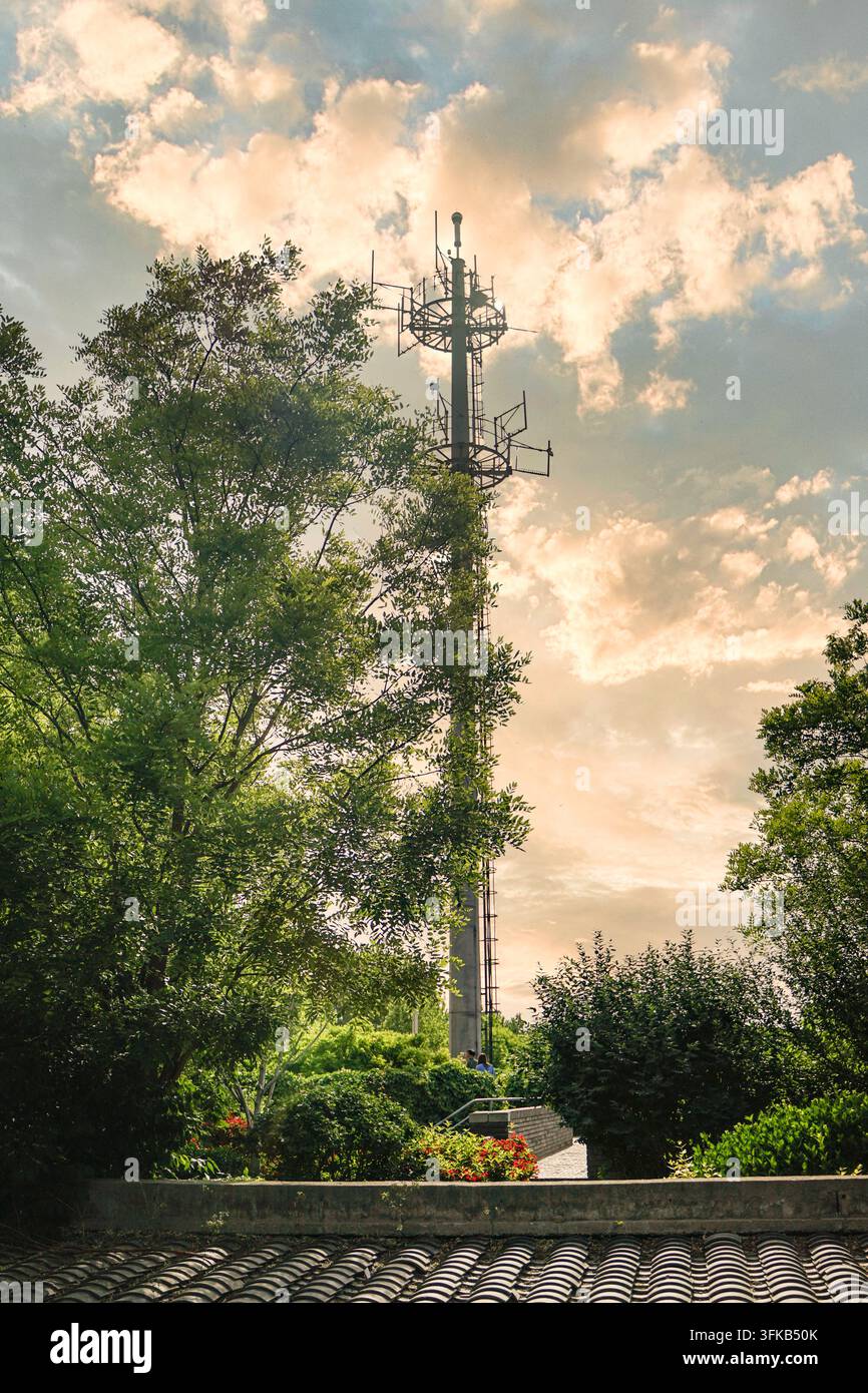Kommunikationssignalturm zwischen grünen Bäumen im warmen Abendglühen Stockfoto