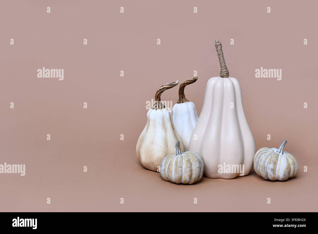 Dekorative Kürbisschmuck auf beigem Hintergrund mit Kopierraum. Herbstliche saisonale Komposition Stockfoto