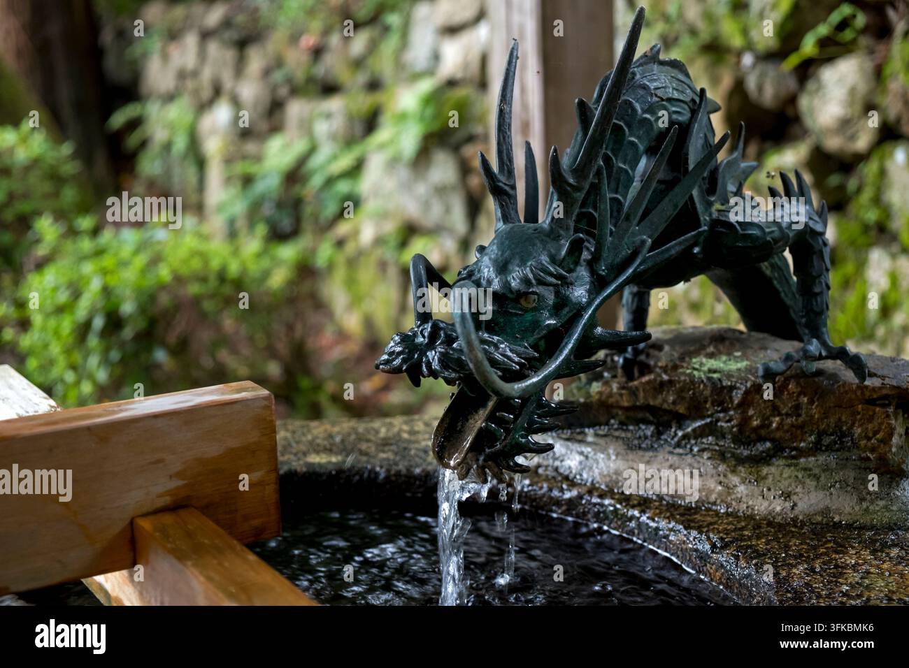 Japanischer Drachen-„temizuya“ (手水舎) oder „chozuya“-Reinigungsspringbrunnen zum Reinigen von Händen und Mund, bevor man einen heiligen Shinto-Schrein betritt, Japan. Stockfoto