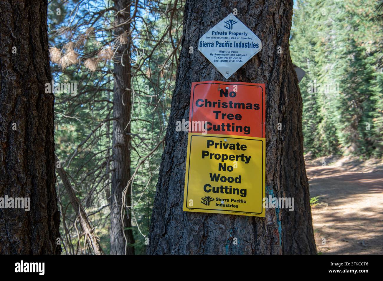 Mehrere Schilder, die das Feuern und das Holzfällen auf einem Privatgrundstück der Sierra Pacific Industries in der Nähe des Mount Shasta, Kalifornien, verbieten. Stockfoto