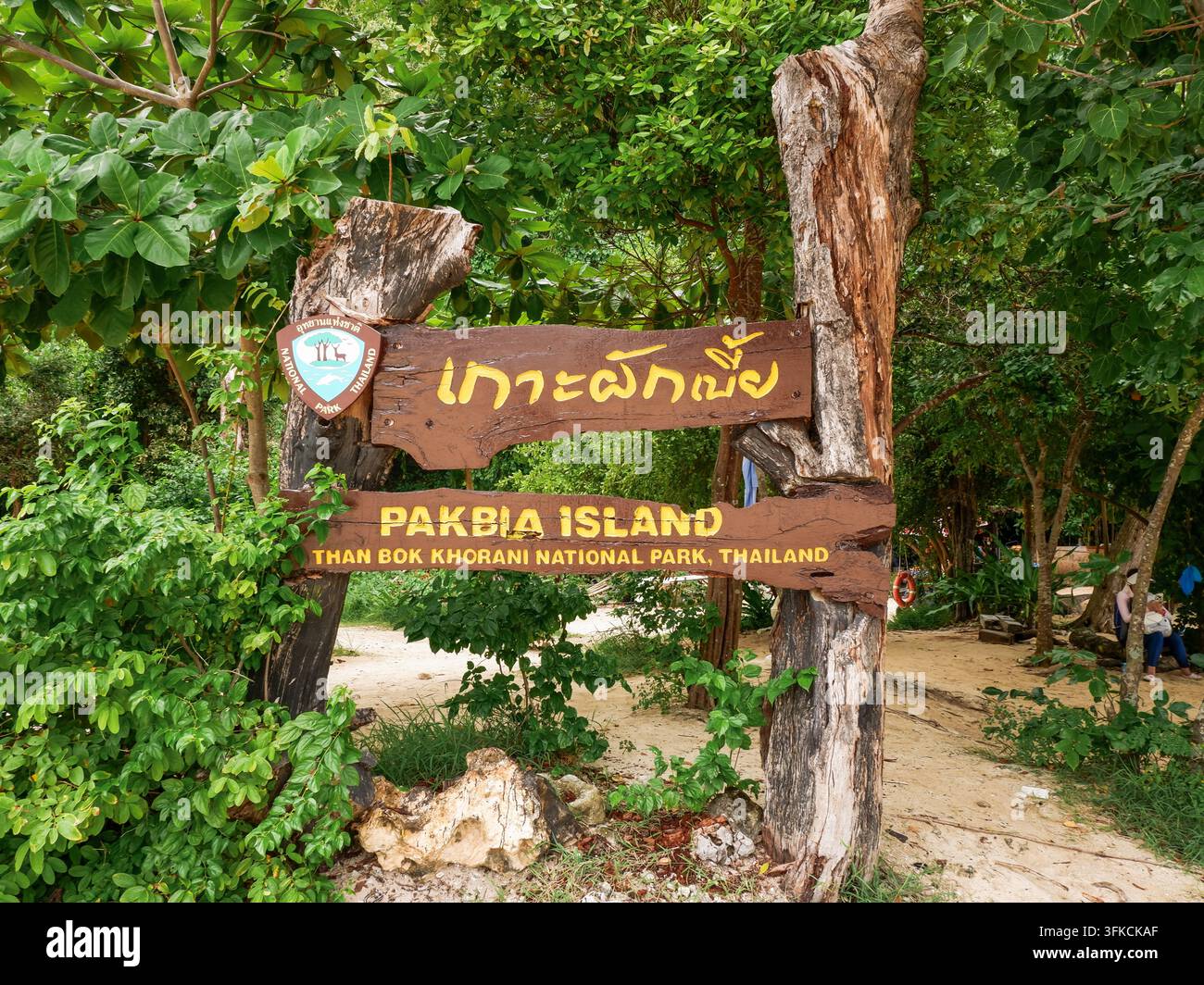 KRABI, THAILAND - 21. August 2026: Ein Holzschild mit der Aufschrift „Pakbia Island, Than Bok Khorani Nationalpark, Thailand“ steht umgeben von dichten tropischen Bäumen und grüner Vegetation. Stockfoto