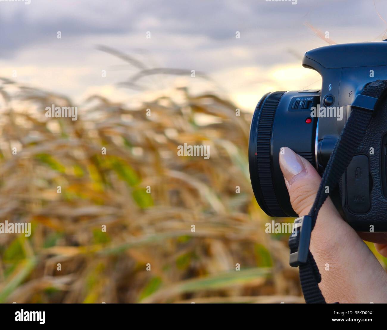 Frauenhände halten eine DSLR-Kamera und machen Fotos im Freien. - Smartphone-aufgenommenes Stockfoto