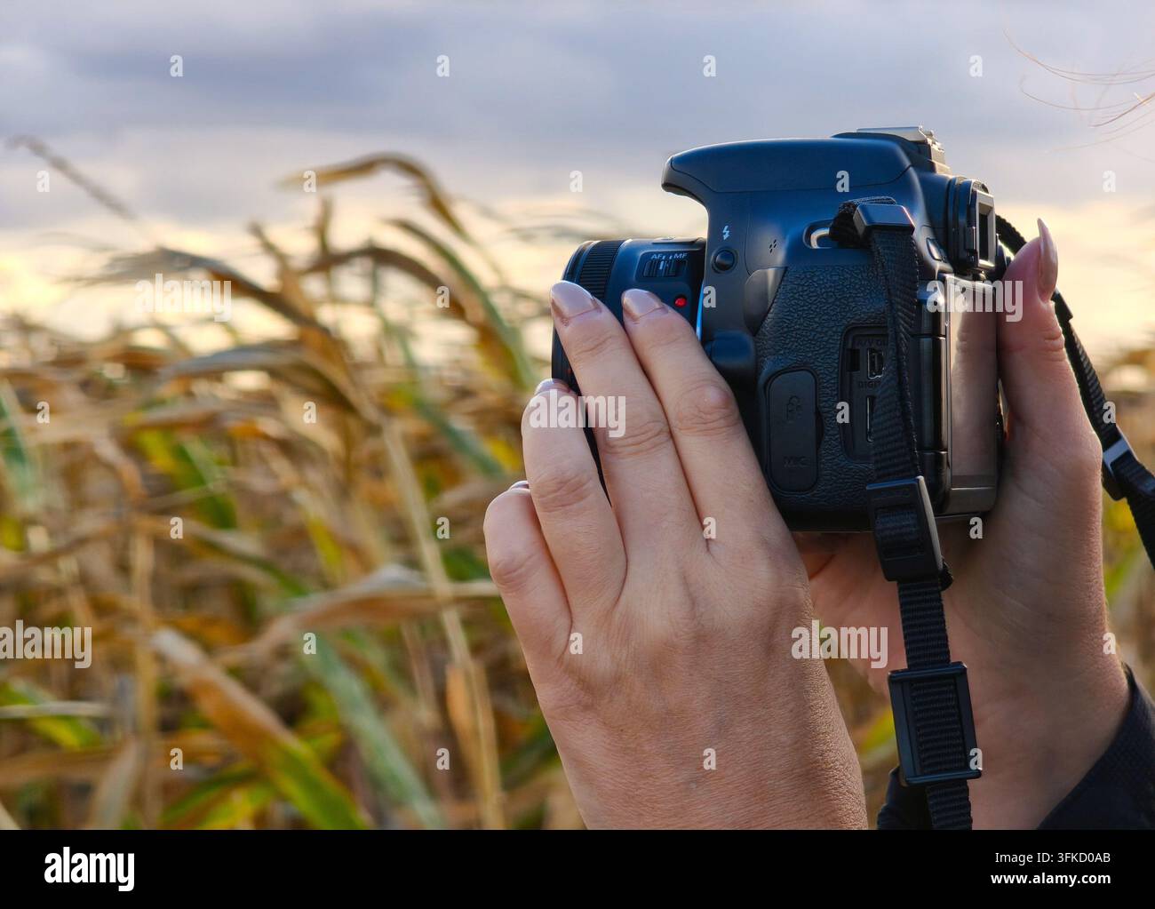 Frauenhände halten eine DSLR-Kamera und machen Fotos im Freien. - Smartphone-aufgenommenes Stockfoto