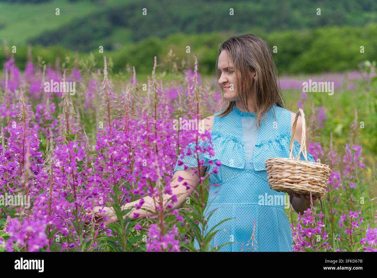 Ruhige Frau berührt sanft lebendige violette Blüten, weiches natürliches Tageslicht, üppiger grüner Hügelhintergrund, geringe Tiefenschärfe, friedliche ländliche Atmosphäre Stockfoto