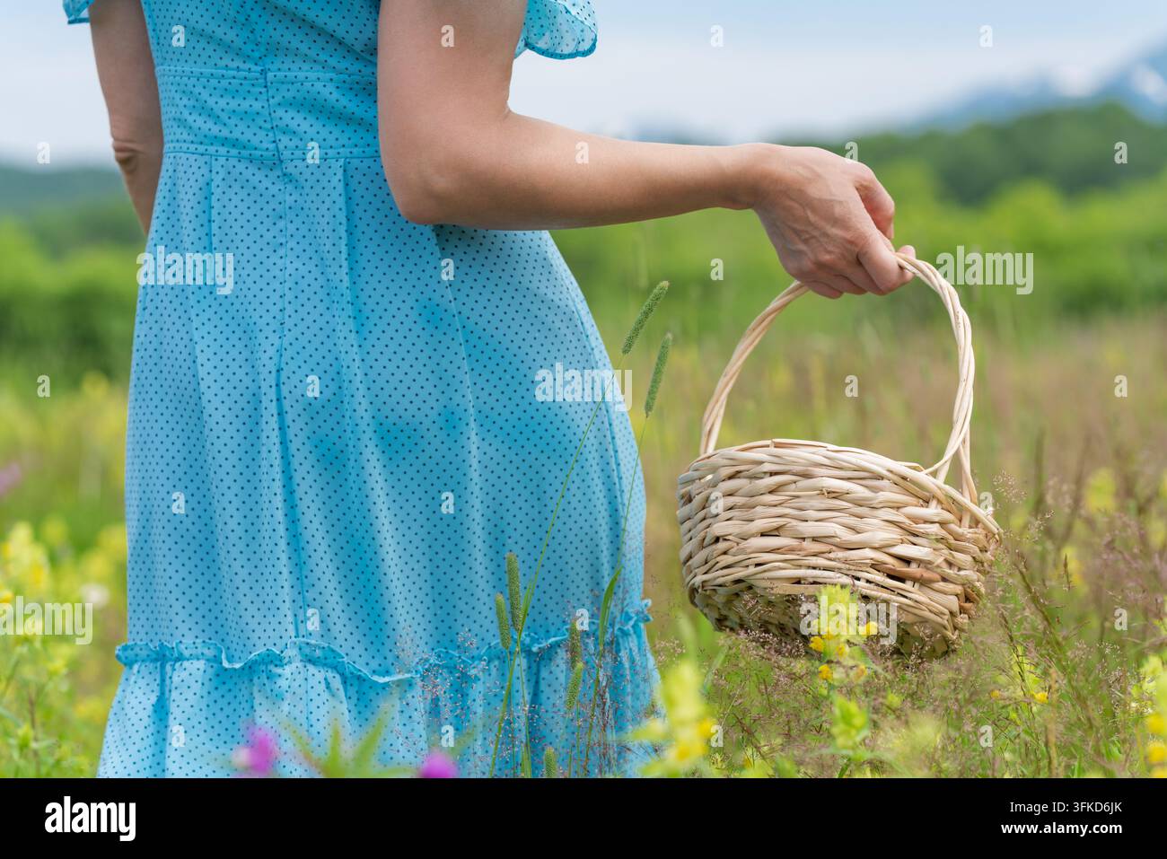Frau in blauem gepunkteten Kleid hält einen Weidenkorb auf einer Sommerwiese mit Wildblumen. Weiches natürliches Tageslicht hebt das lebendige grüne Feld und Gelb hervor Stockfoto