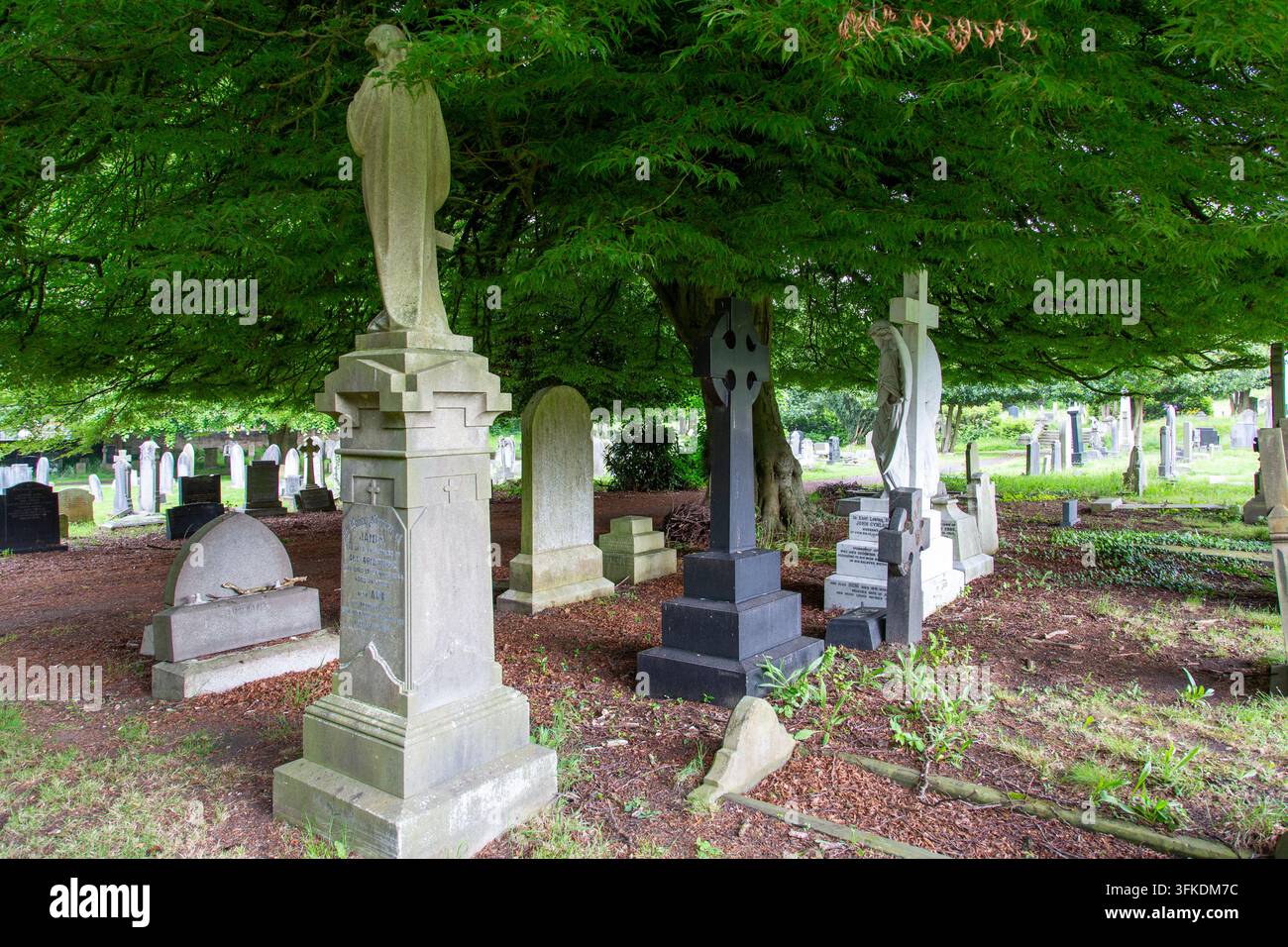 Denkmäler, die unter einer geschnittenen Buche auf dem Flaybrick-Friedhof in Birkenhead, Wirral, England Schutz suchen Stockfoto