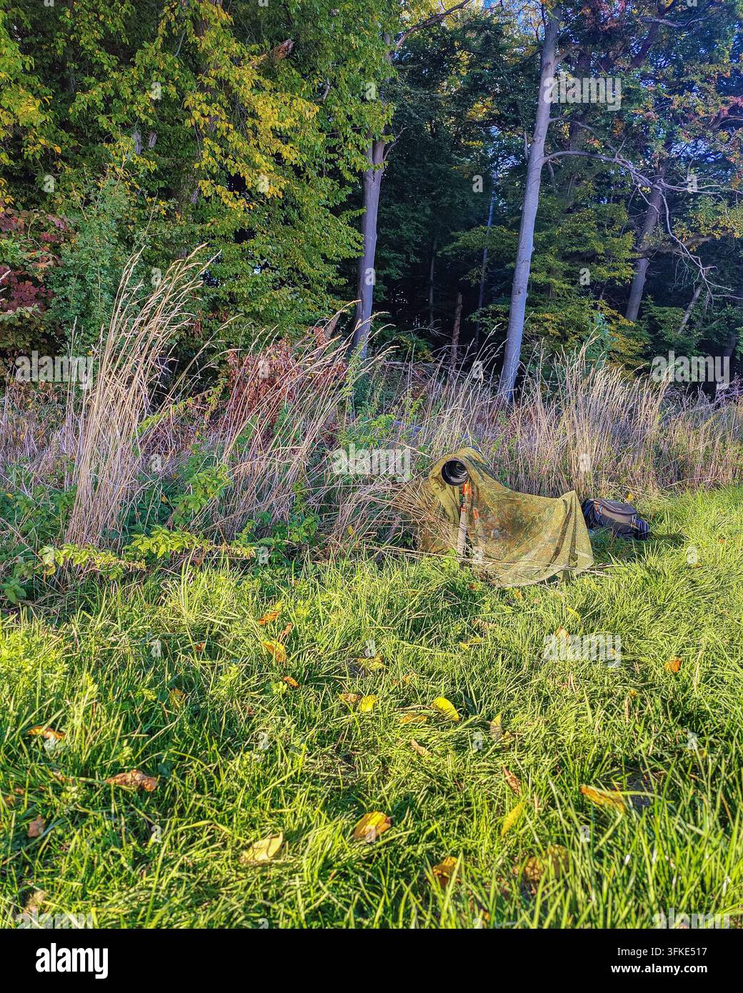 Die Kameraausrüstung eines professionellen Wildtierfotografen, versteckt unter einem Tarnnetz auf einer Wiese am Waldrand. Das Teleobjektiv ist Stockfoto