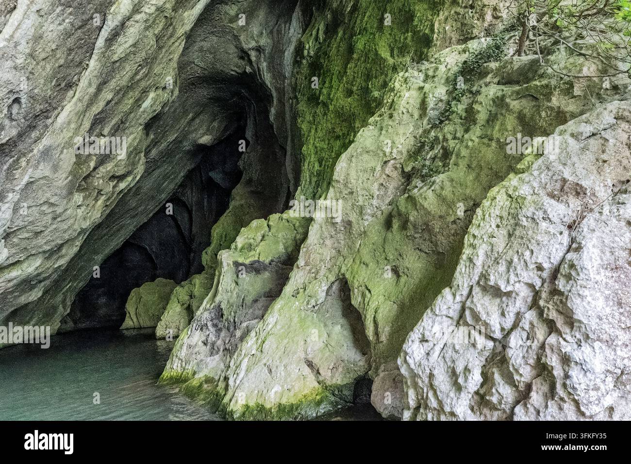 Großer, moosbewachsener Höhleneingang am Ufer der Donau, Rumänien Stockfoto
