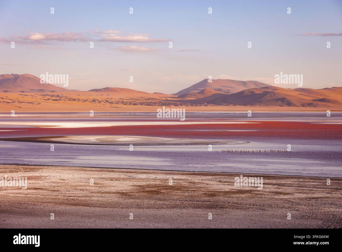 Farbenfrohe Hochgebirgslagune im bolivianischen Altiplano Stockfoto