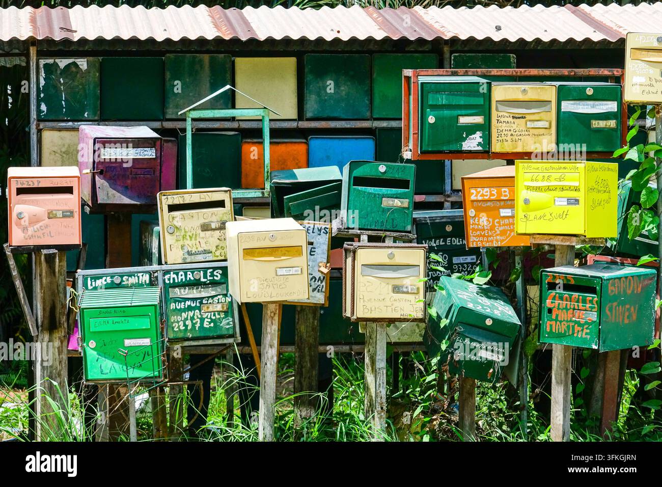 Dutzende farbenfroher Briefkästen, viele mit handgemalten Namen und Adressen auf der Avenue Gaston Monnerville, stehen dicht gedrängt auf Holzpfosten vor Palmen in Saint-Laurent-du-Maroni, Französisch-Guayana. Das Gruppieren von Briefkästen am Straßenrand ist in Teilen Französisch-Guayanas üblich, wo die Häuser zurückgesetzt von der Hauptstraße stehen, sodass die Postboten an einer Haltestelle viele Haushalte bedienen können. Stockfoto