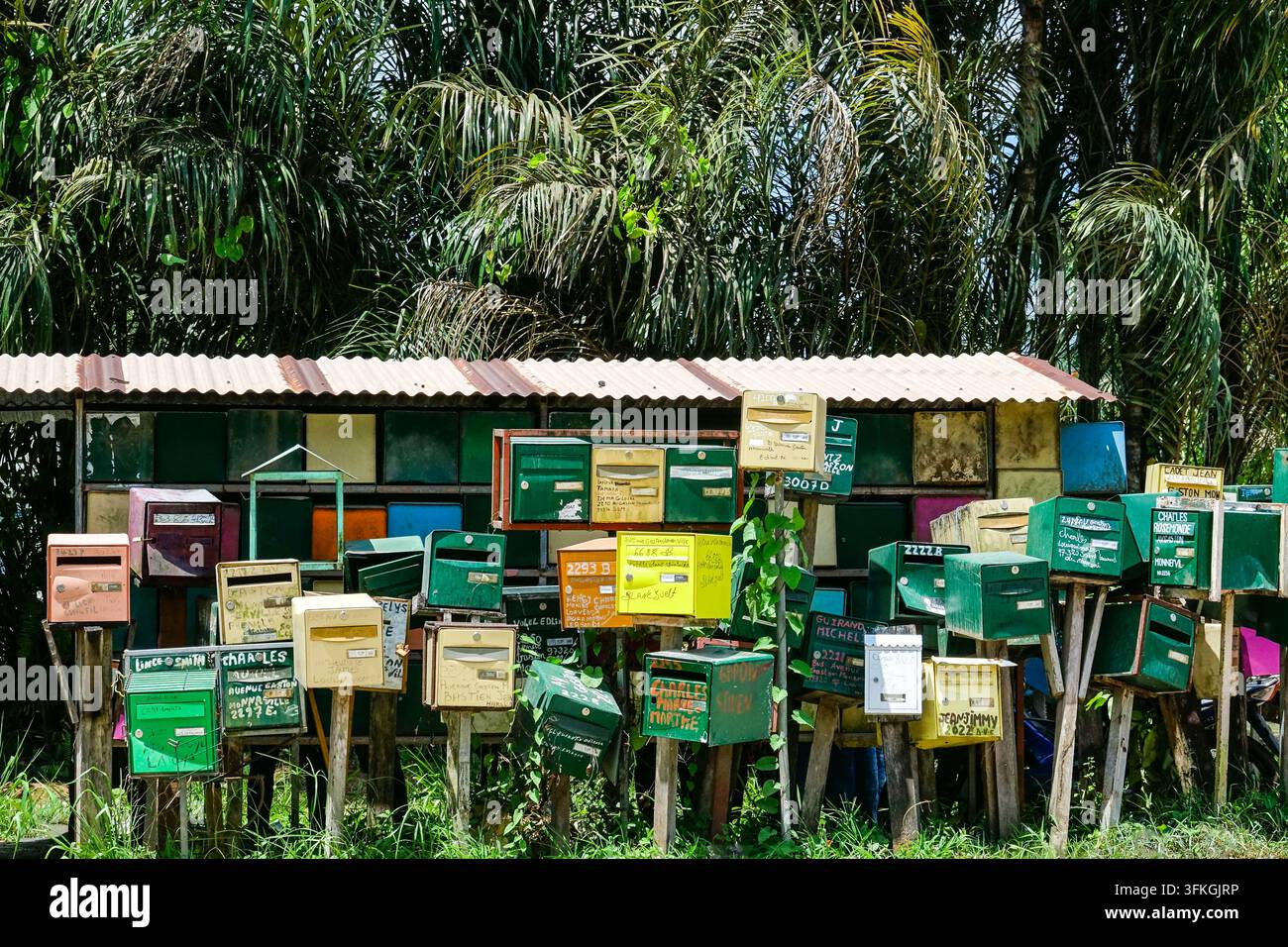Dutzende farbenfroher Briefkästen, viele mit handgemalten Namen und Adressen auf der Avenue Gaston Monnerville, stehen dicht gedrängt auf Holzpfosten vor Palmen in Saint-Laurent-du-Maroni, Französisch-Guayana. Das Gruppieren von Briefkästen am Straßenrand ist in Teilen Französisch-Guayanas üblich, wo die Häuser zurückgesetzt von der Hauptstraße stehen, sodass die Postboten an einer Haltestelle viele Haushalte bedienen können. Stockfoto