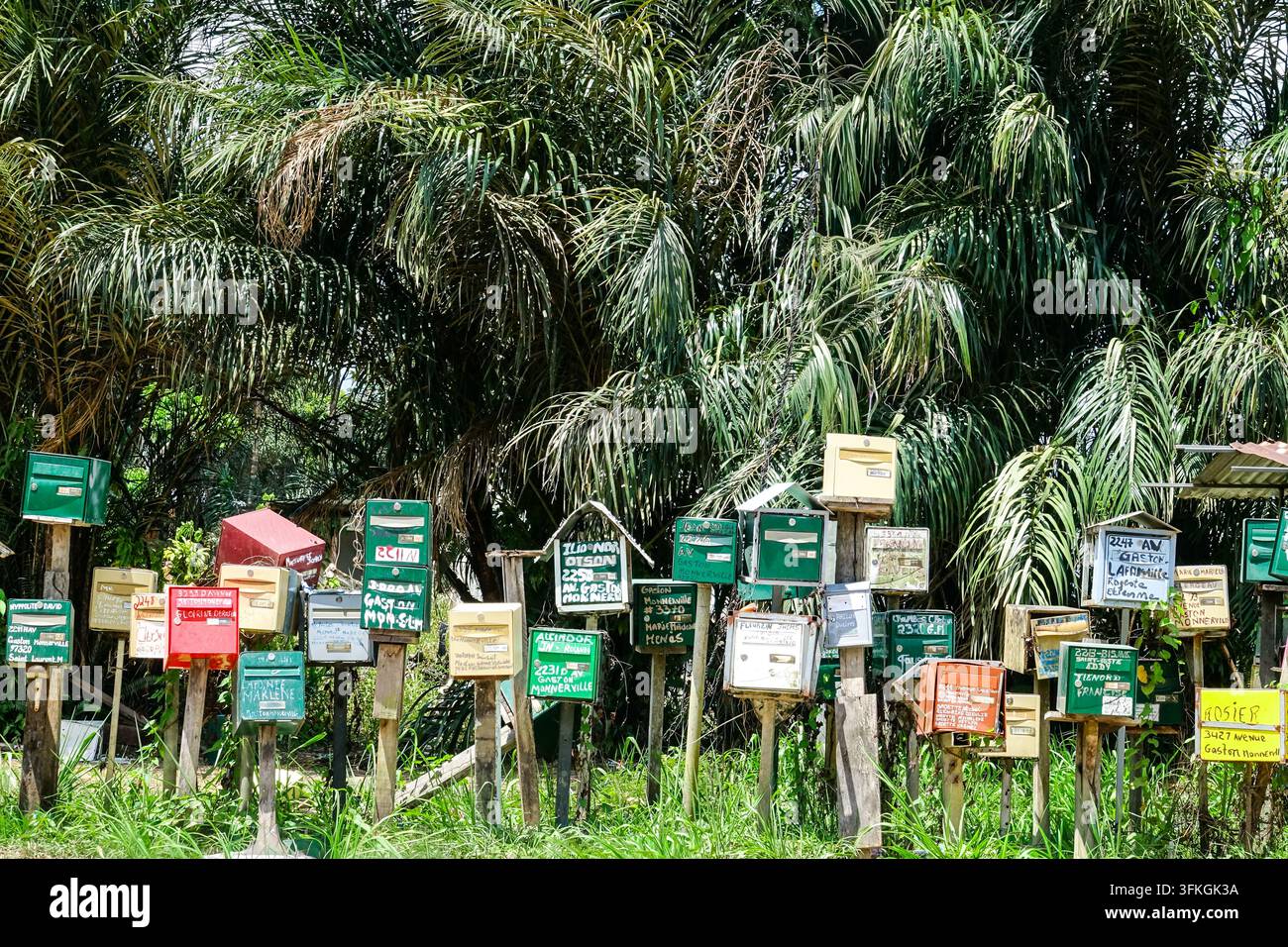 Dutzende farbenfroher Briefkästen, viele mit handgemalten Namen und Adressen auf der Avenue Gaston Monnerville, stehen dicht gedrängt auf Holzpfosten vor Palmen in Saint-Laurent-du-Maroni, Französisch-Guayana. Das Gruppieren von Briefkästen am Straßenrand ist in Teilen Französisch-Guayanas üblich, wo die Häuser zurückgesetzt von der Hauptstraße stehen, sodass die Postboten an einer Haltestelle viele Haushalte bedienen können. Stockfoto