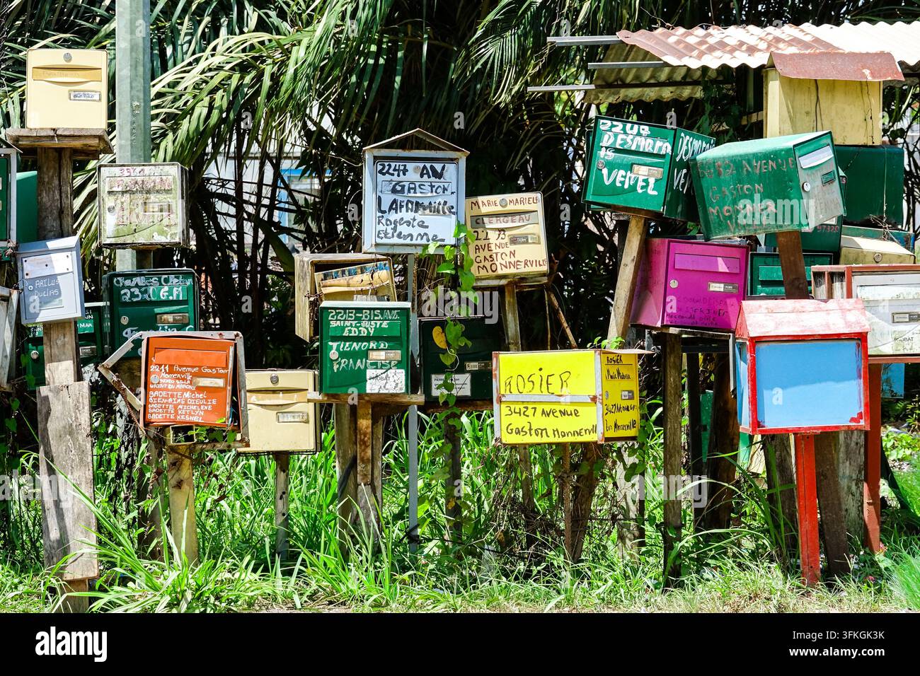 Dutzende farbenfroher Briefkästen, viele mit handgemalten Namen und Adressen auf der Avenue Gaston Monnerville, stehen dicht gedrängt auf Holzpfosten vor Palmen in Saint-Laurent-du-Maroni, Französisch-Guayana. Das Gruppieren von Briefkästen am Straßenrand ist in Teilen Französisch-Guayanas üblich, wo die Häuser zurückgesetzt von der Hauptstraße stehen, sodass die Postboten an einer Haltestelle viele Haushalte bedienen können. Stockfoto