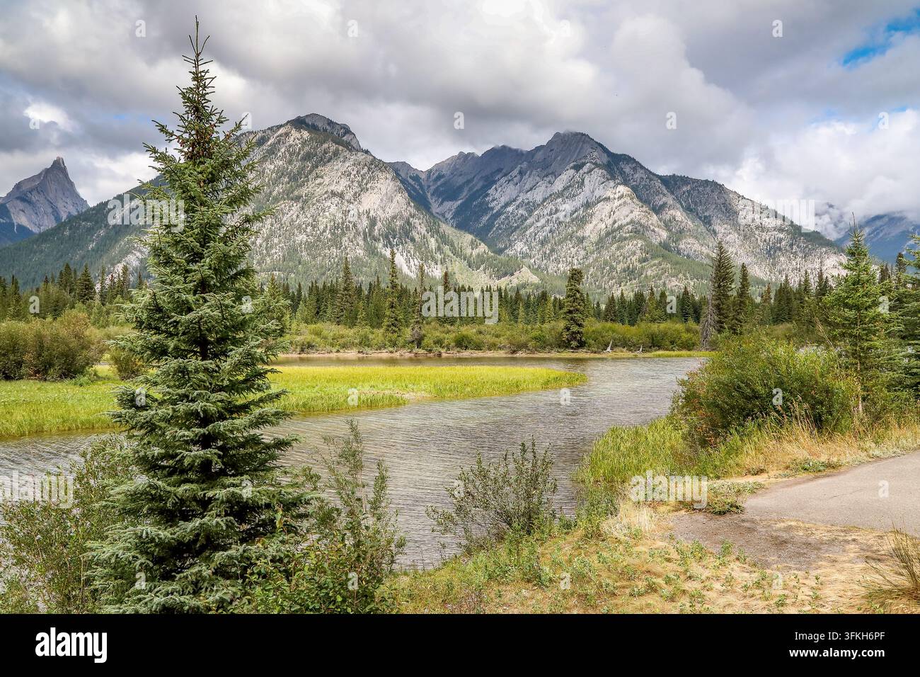 Mount Norquay über dem Bow River – Der Bow River fließt durch den Banff-Nationalpark mit den Gipfeln des Mount Norquay im Hintergrund. Banff, Kanada Stockfoto