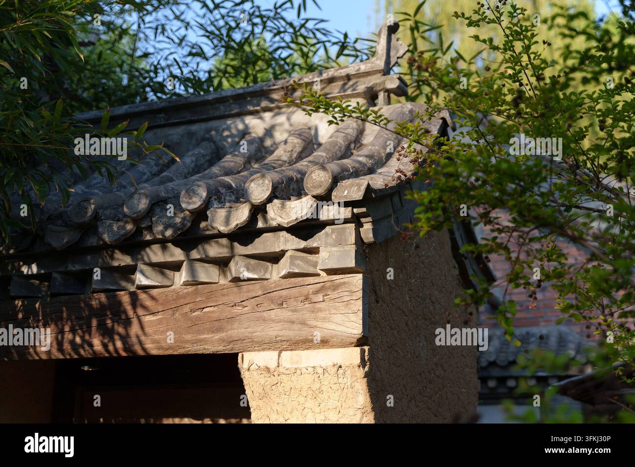Nahaufnahme eines chinesischen grauen Ziegeldachs mit üppiger Vegetation, die es teilweise bedeckt Stockfoto