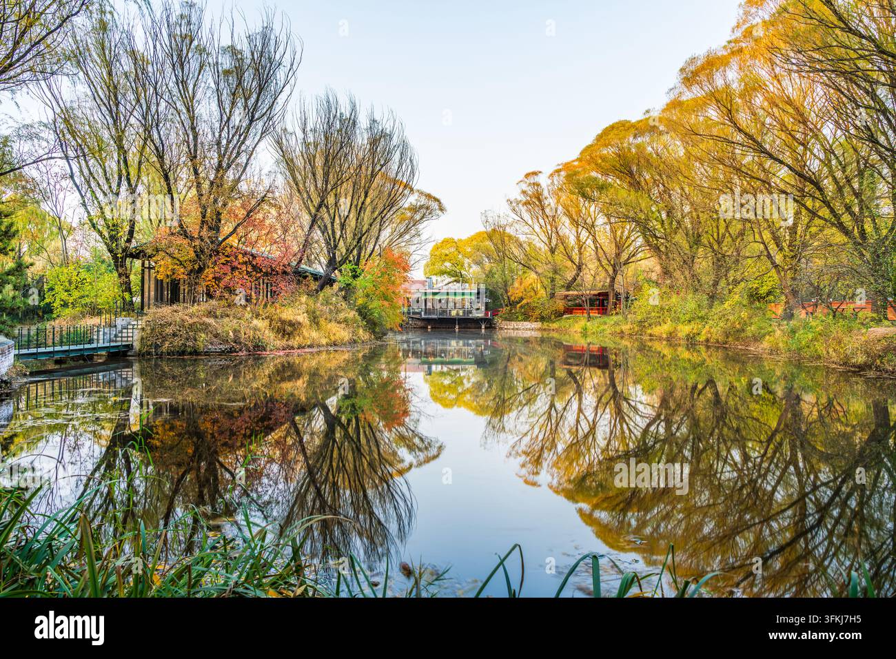 Herbstlandschaft am Wasser mit üppigen Bäumen und ihren Spiegelungen, die eine bezaubernde Szene schaffen Stockfoto