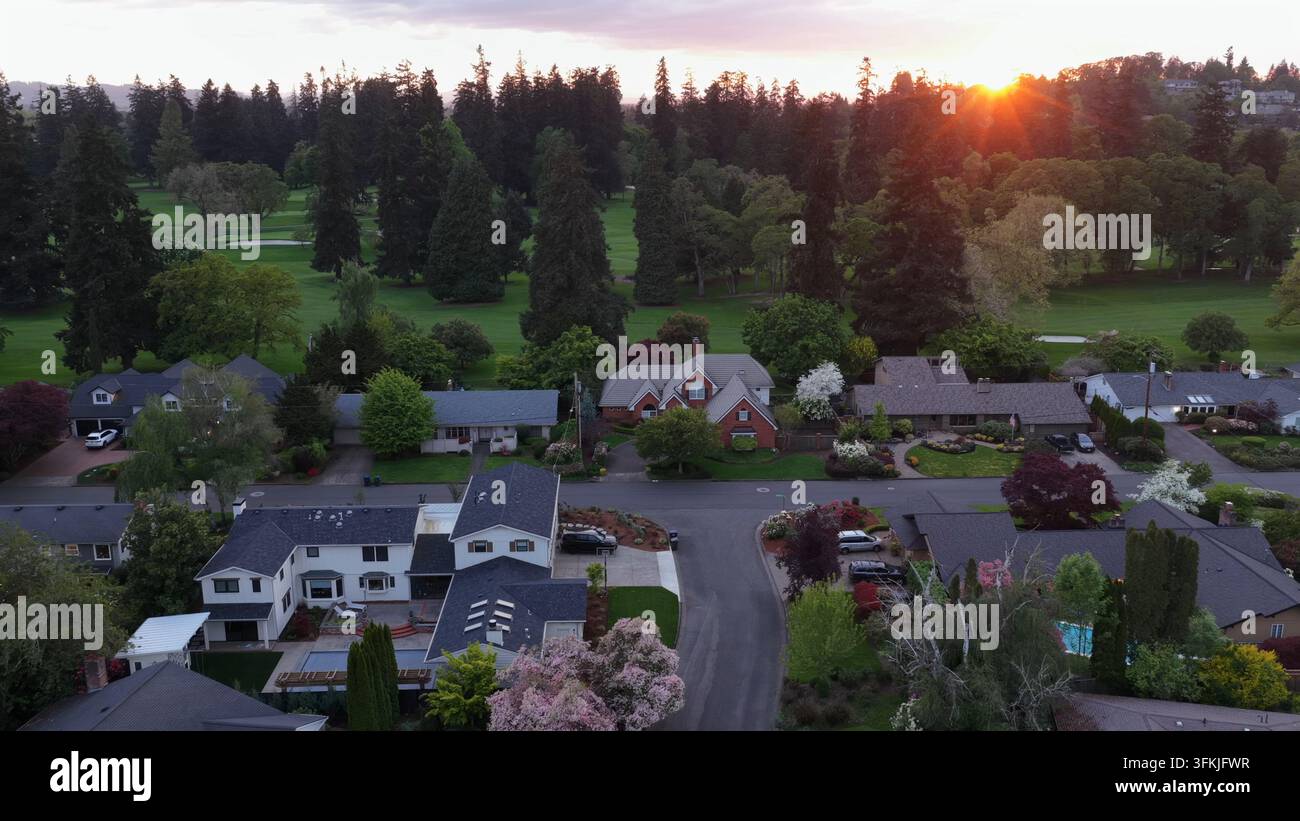 Ruige Wohngegend mit gepflegten Häusern, gestutzten Gärten, einer von Bäumen gesäumten Straße, einem Golfplatz und hohen Nadelbäumen unter einem warmen goldenen Sonnenuntergang. Eu Stockfoto