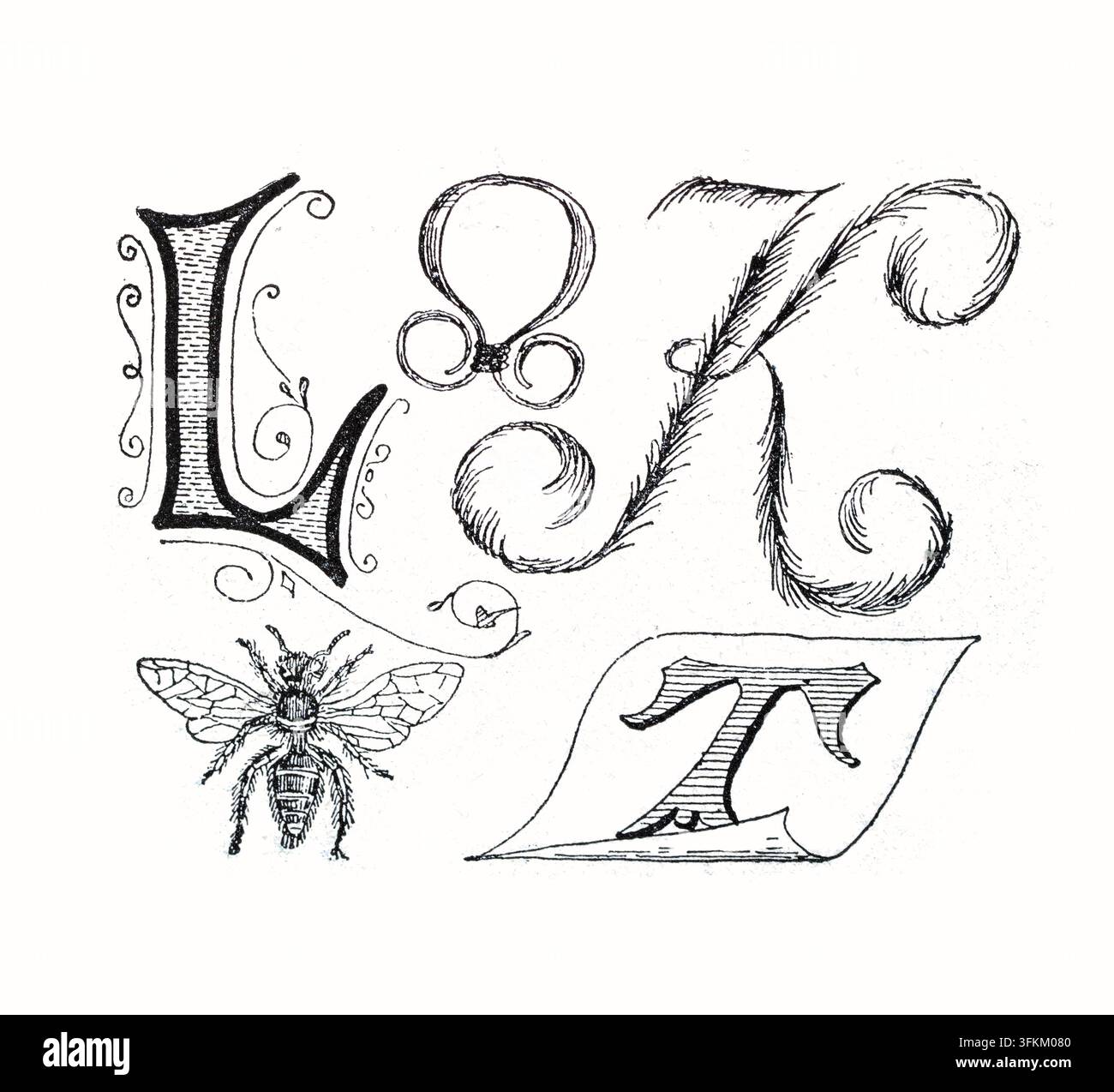 Verzierte Alphabetbuchstaben L, K, T und Ampersand mit einer Bienenillustration - 19. Jahrhundert Stiche. Stockfoto