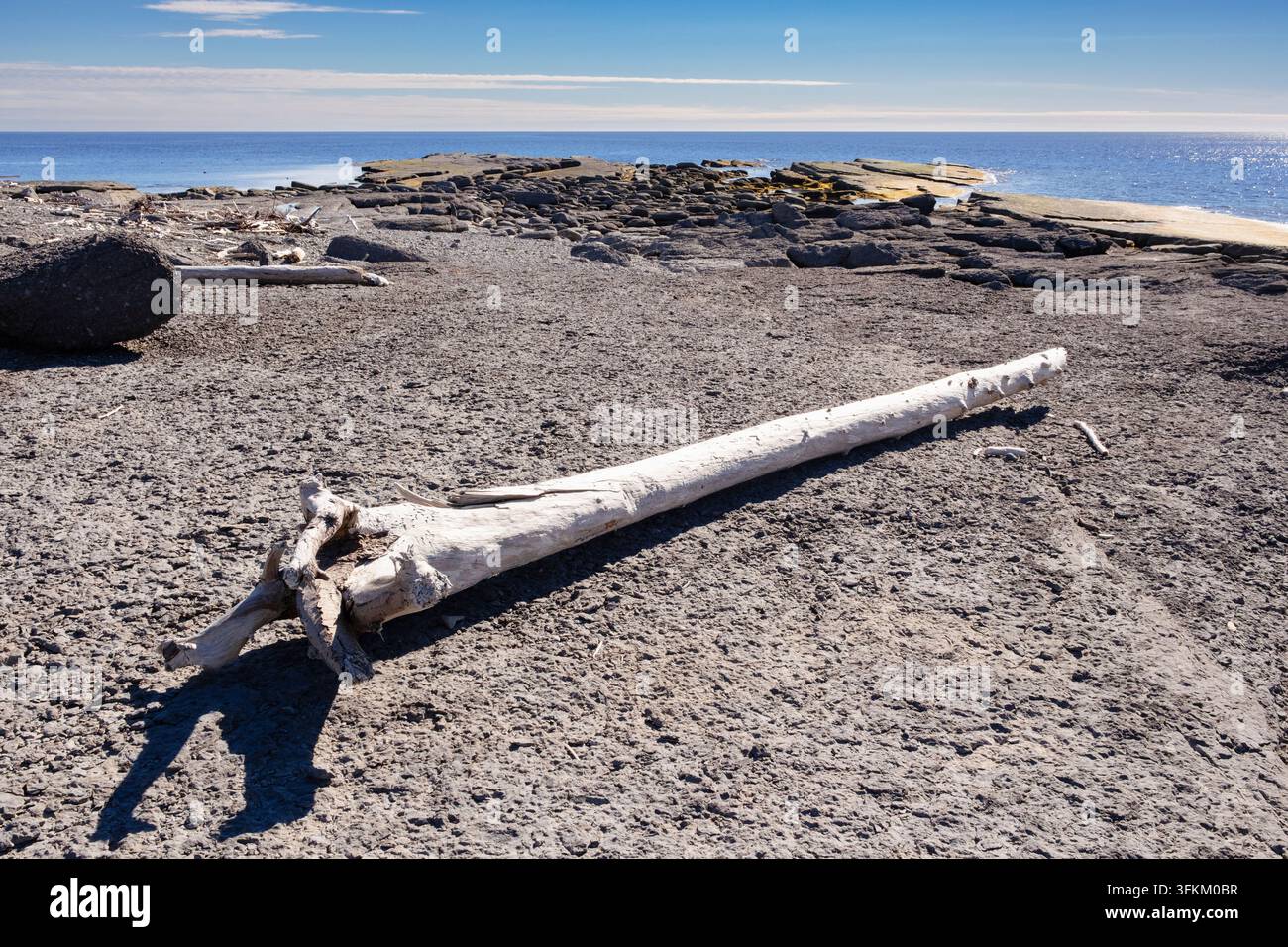 Kalksteinwüsten und gebleichter Baumstamm in Point Riche auf der Great Northern Peninsula. Port au Choix, Neufundland, Kanada Stockfoto