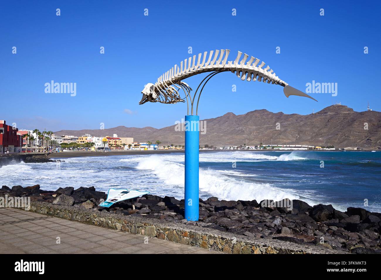 Ein Skelett eines Cuviers-Schnabelwals entlang der Uferpromenade, Gran Tarajal, Fuerteventura, Kanarische Inseln, Spanien. Stockfoto