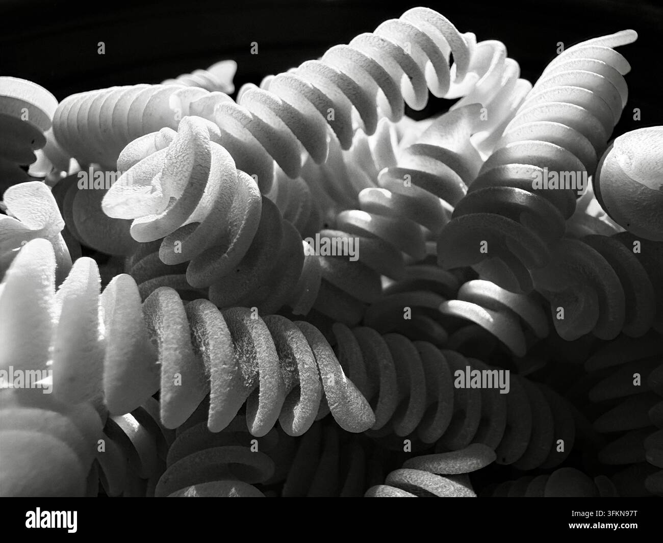 Getrocknete Fusilli-Pasta-Spiralen mit strukturierter Oberfläche in dramatischer Monochrom-Beluchtung, die die italienische kulinarische Tradition zeigt Stockfoto