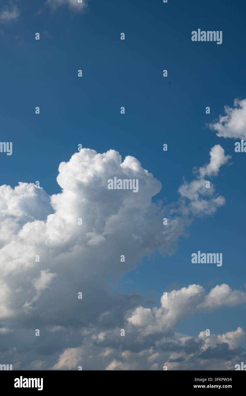 Eine vertikale Ansicht eines blauen Himmels mit einer großen weißen Cumuluswolke in der Mitte und kleineren Wolken rechts. Der Himmel ist klar und hell mit offener Weite Stockfoto