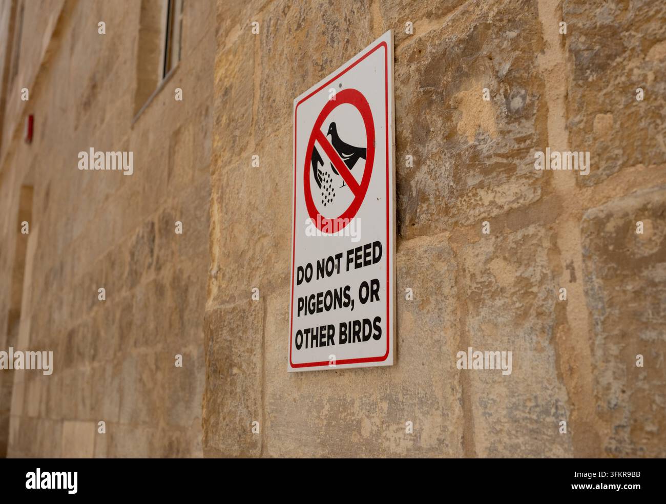 Ein Warnschild in Valletta Malta „Füttern Sie keine Tauben oder andere Vögel nicht“ hängt an einer Wand in einer maltesischen Straße Stockfoto