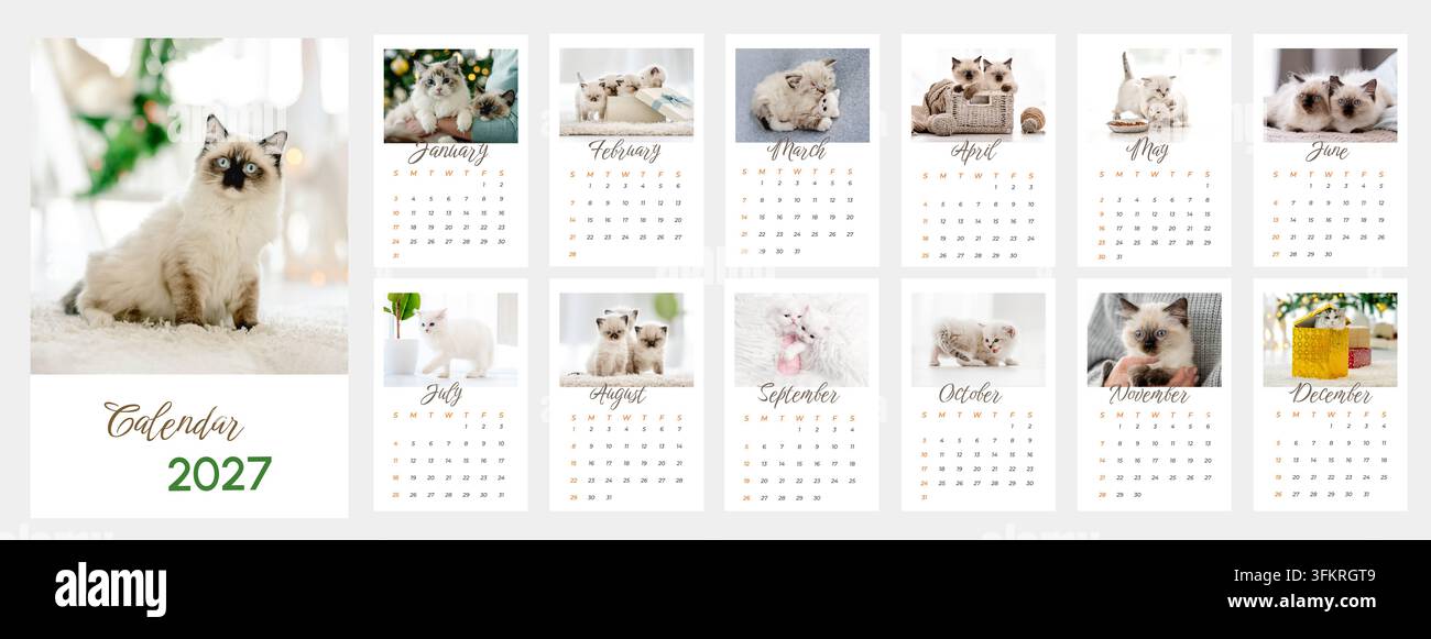 Kleine flauschige Katzen sind auf zwölf monatlichen Terminplanseiten dieses Jahreskalenders für 2027 abgebildet Stockfoto