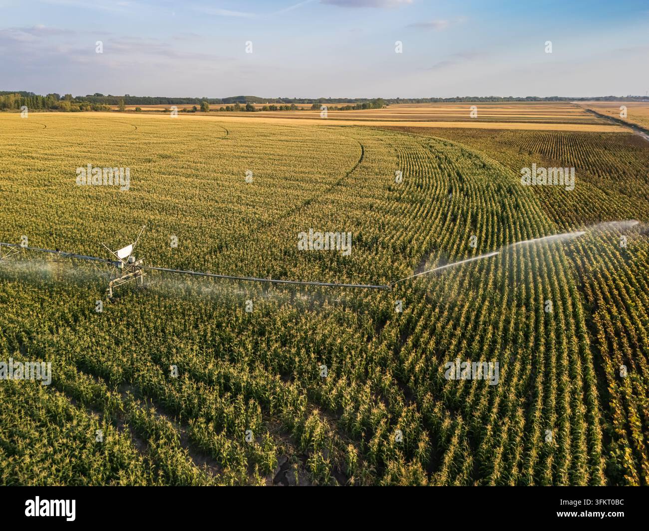 Luftbild der Zentrumswender-Bewässerung, die Mais- und Sonnenblumenfelder im Komitat Bacs-Kiskun, Ungarn, bewässert, mit Pflanzenreihen über flaches ländliches Ackerland u Stockfoto