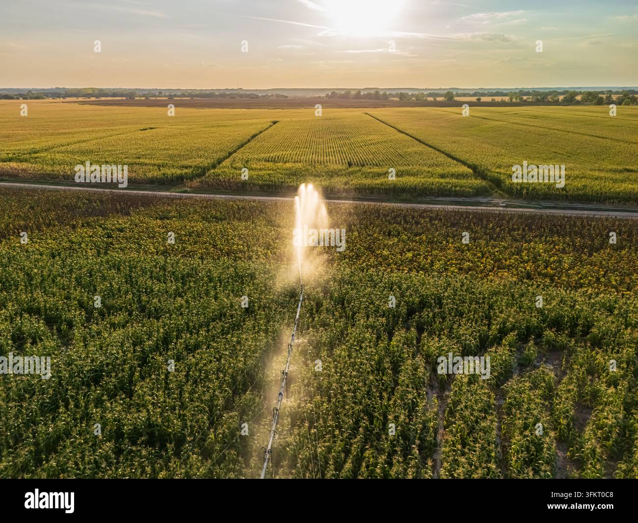 Luftaufnahme von Bewässerungssystemen, die Mais- und Sonnenblumenfelder im Komitat Bacs-Kiskun, Ungarn, im Sommer bewässern, und die moderne Landwirtschaft illustrieren Stockfoto