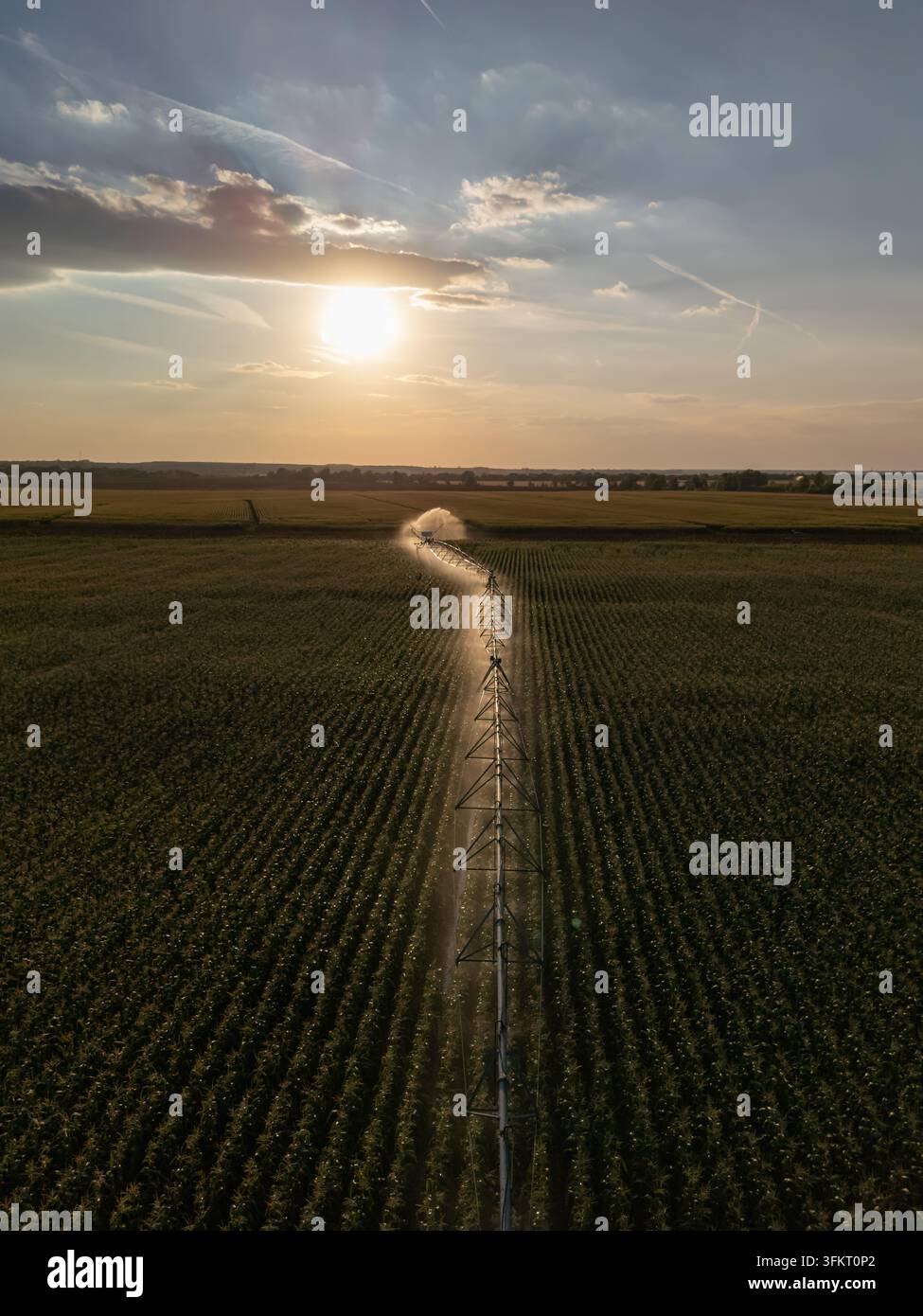 Luftaufnahme der Zentrumswenden-Bewässerung, die Mais- und Sonnenblumenfelder in der Nähe von Solt, Bacs-Kiskun, Ungarn, in der ländlichen Sommerlandschaft bei Sonnenlicht bewässert Stockfoto