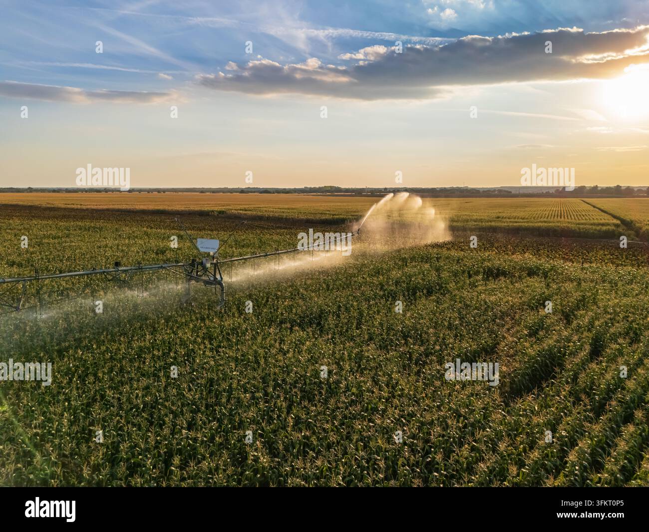 Luftbild der Zentrumsdrehregner-Bewässerung, die Mais- und Sonnenblumenfelder in der Nähe von Solt, Bacs-Kiskun, Ungarn, im sommerlichen Land unter Sonnenuntergang bewässert Stockfoto