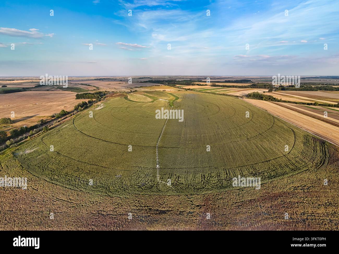 Luftbild der Zentrumswenden-Bewässerung, die kreisförmige Mais- und Sonnenblumenfelder bei Solt im Komitat Bacs-Kiskun, Ungarn, über flaches ländliches Ackerland bewässert Stockfoto