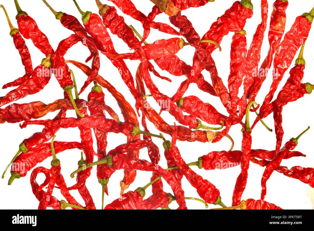 Getrocknete Cayennepfeffer isoliert auf weißem Hintergrund. Sehr scharfe Paprika, nützlich zum Würzen in thailändischer, mexikanischer und anderer ethnischer Küche. Stockfoto