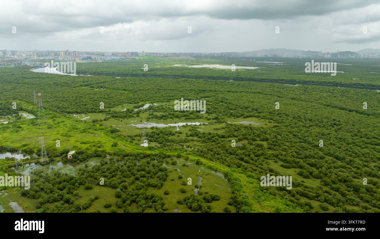 Luftaufnahme von üppigen Mangrovenwäldern und einem gewundenen Bach mit Stromübertragungstürmen und der fernen Stadt Skyline in Navi Mumbai, Maharashtra, Indien. Stockfoto