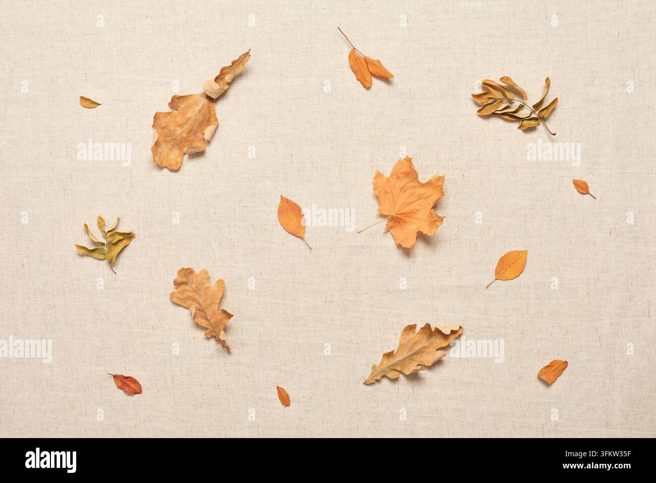 Trockene bunte Herbstblätter flach auf beigem Leinenstoff Stockfoto