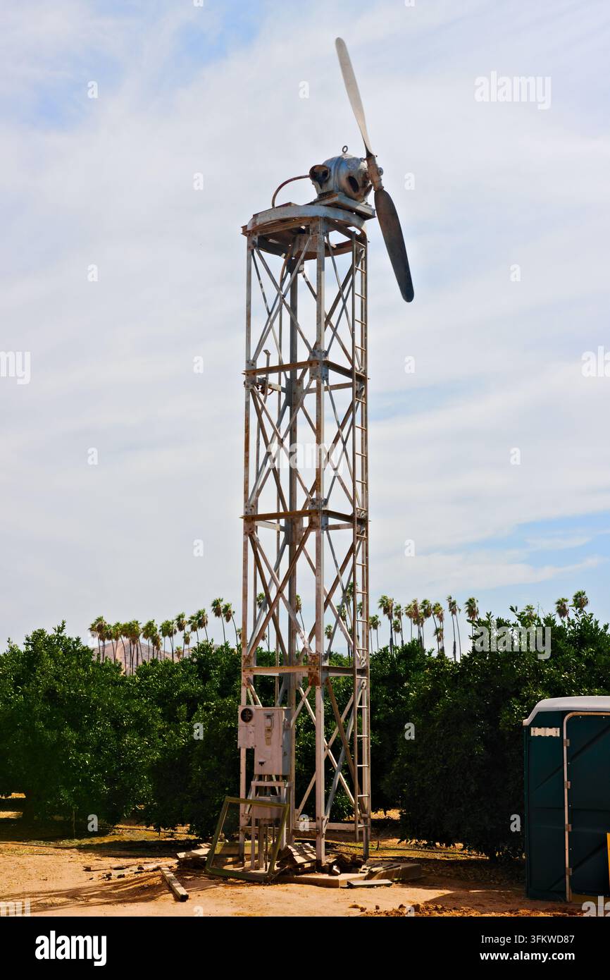 Eine große landwirtschaftliche Windmaschine erhebt sich über einen Zitrushain und Palmen unter einem teilweise bewölkten Himmel in Riverside, Kalifornien. Stockfoto