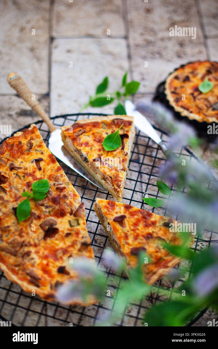 Köstliche hausgemachte Quiche lorraine mit Pfifferlingen, Zwiebeln, Speck und Käse Stockfoto