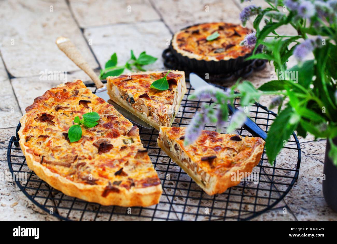 Köstliche hausgemachte Quiche lorraine mit Pfifferlingen, Zwiebeln, Speck und Käse Stockfoto