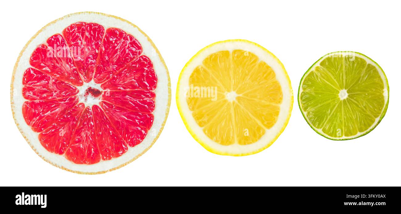 Isolierte Scheiben von Grapefruit, Zitrone und Limette in einer Reihe auf weißem Hintergrund Stockfoto