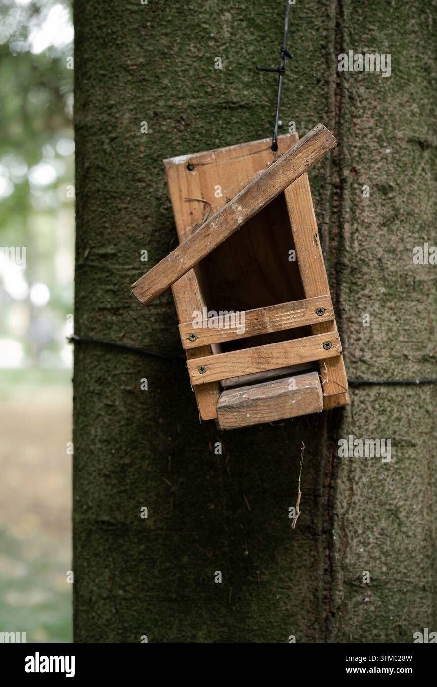 Rustikaler hölzerner Vogelhäuschen, der an einem Baumstamm in einer natürlichen Waldumgebung mit weichem grünem Waldhintergrund befestigt ist Stockfoto
