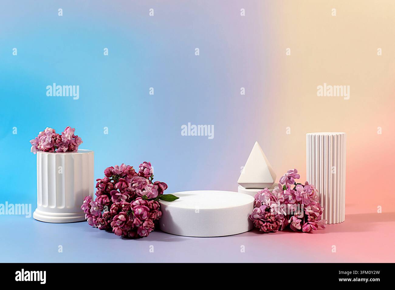Minimale moderne Ästhetik und elegantes Schönheitskonzept, Schönes Banner mit Fliederblüten und leeren, variierten Produktpräsentationsständen, Designvorlage, Stockfoto