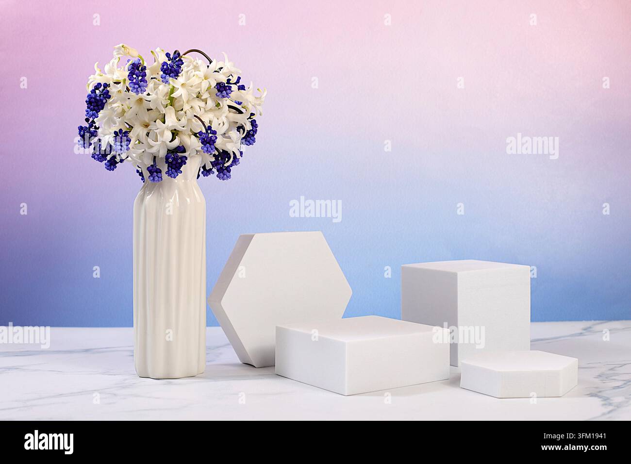 Abstrakte schöne Blumenkomposition mit Hyazinthen und Muskariblumen, Banner. Leeres Produktpodest und frische lebendige Frühlingsblumen. Bühne für Business Con Stockfoto