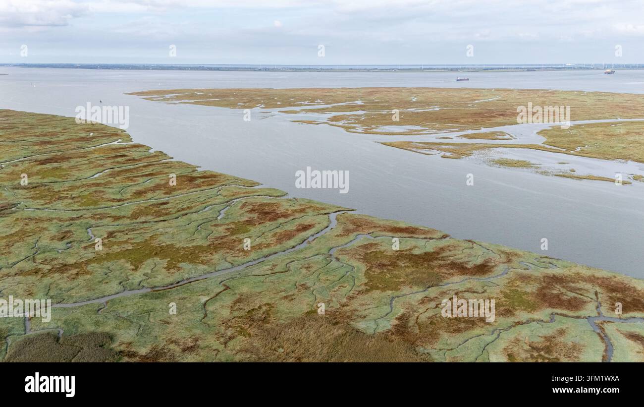 Luftbild des Naturschutzgebiets Saeftinghe, das Gezeitenwiesen zeigt, die auf den Scheldeästuarm treffen, mit Barken, die die Wasserstraße befahren Stockfoto