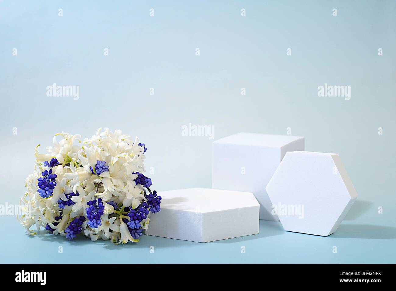Leeres Produktpodium und frische lebende Frühlingsblumen. Abstraktes schönes Blumenarrangement mit Hyazinthen und Muskariblumen, Banner. Bühne für Business Con Stockfoto